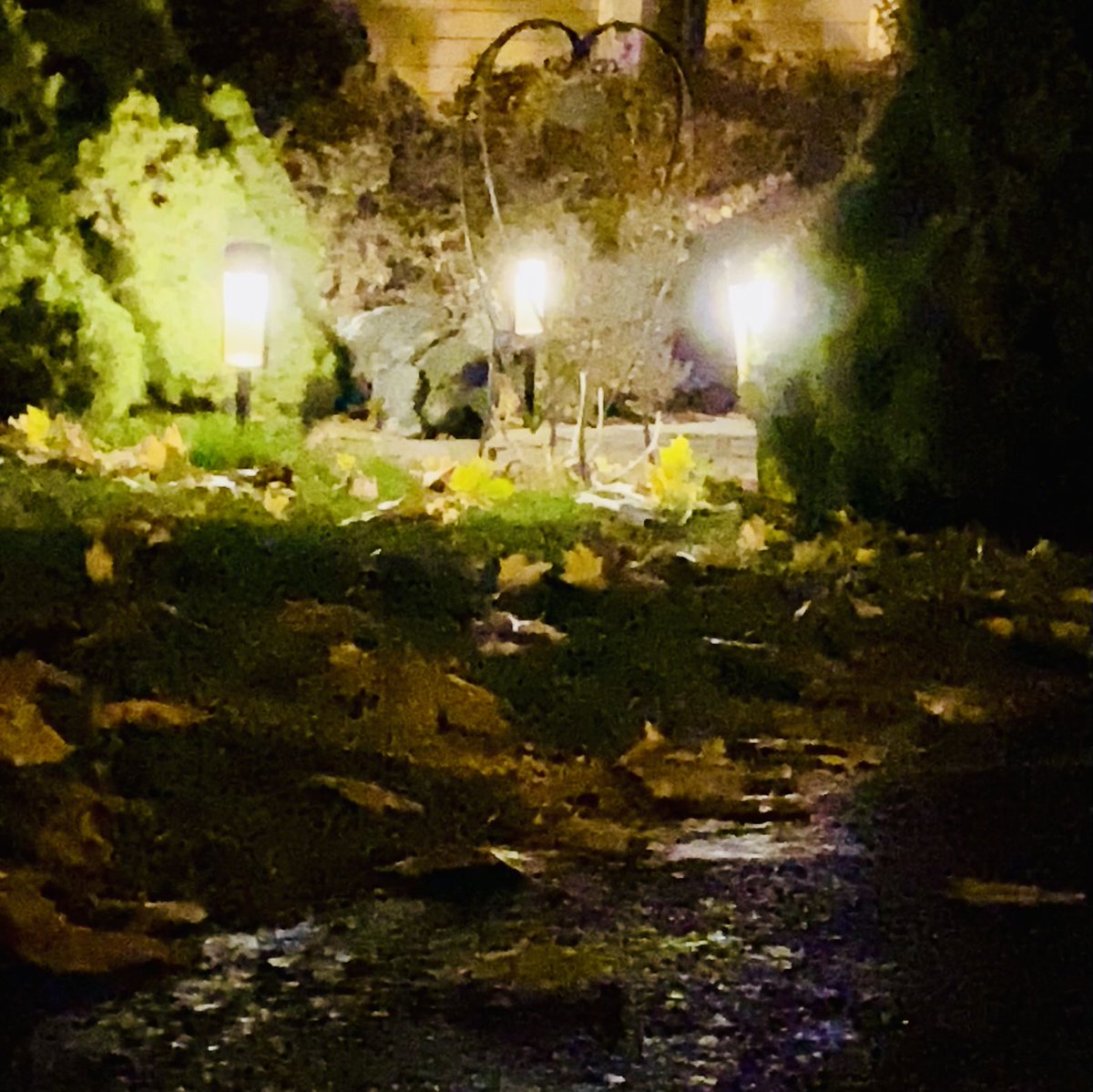 VisibleThink's tweet image. Strange how the night moves
With Autumn closing in 
#photography #saturdaynight #autumnlastgasp