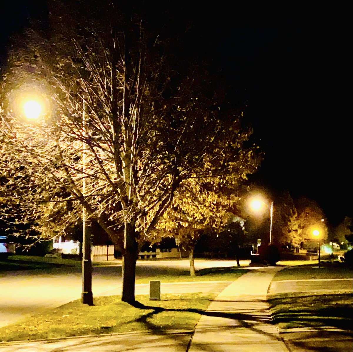 VisibleThink's tweet image. Strange how the night moves
With Autumn closing in 
#photography #saturdaynight #autumnlastgasp