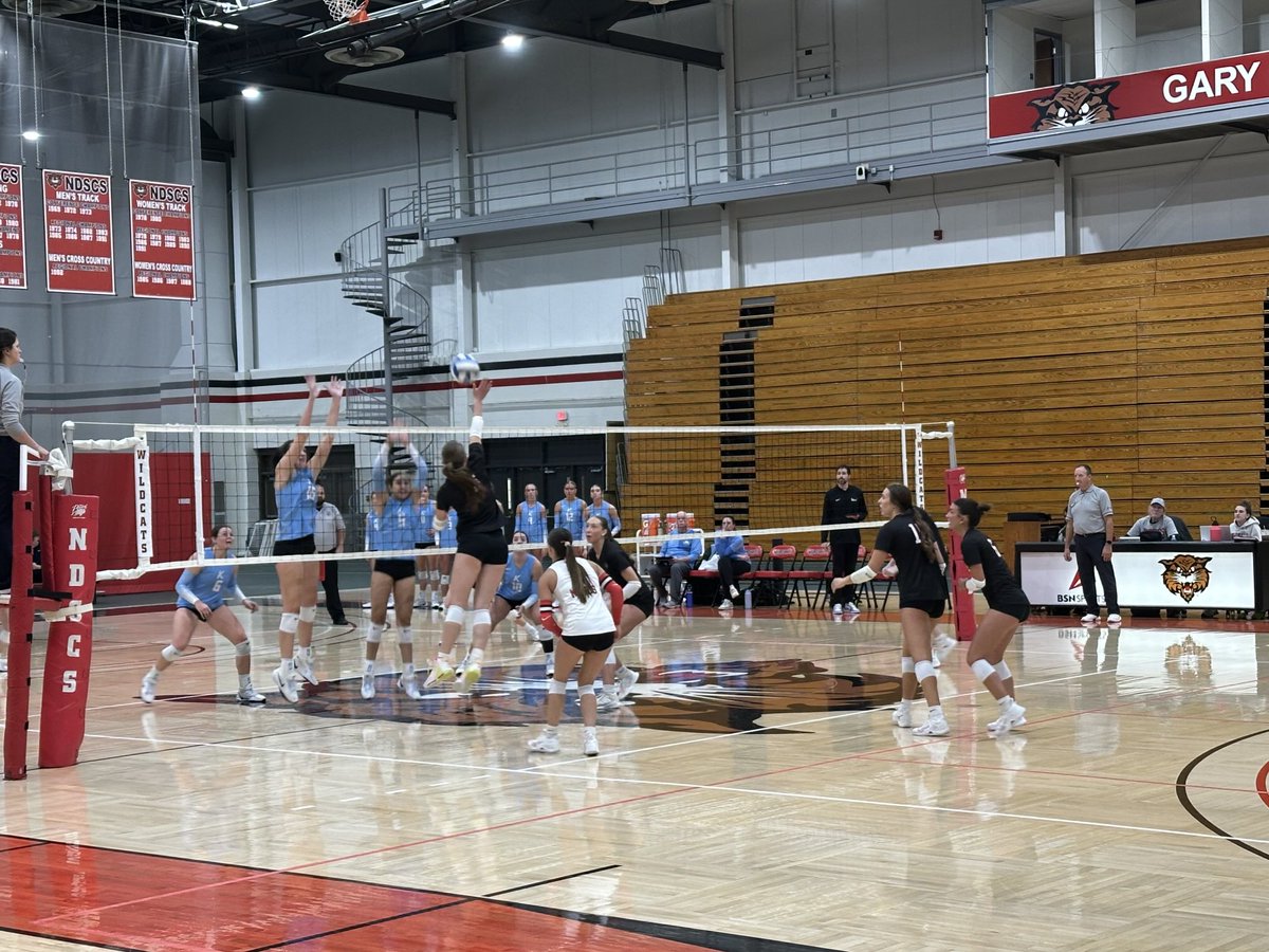 Lisa Karch tweet media