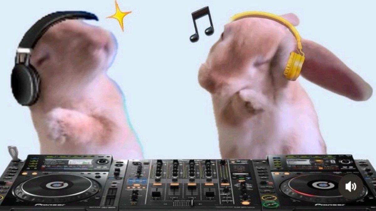 𖹭 peace tweet media