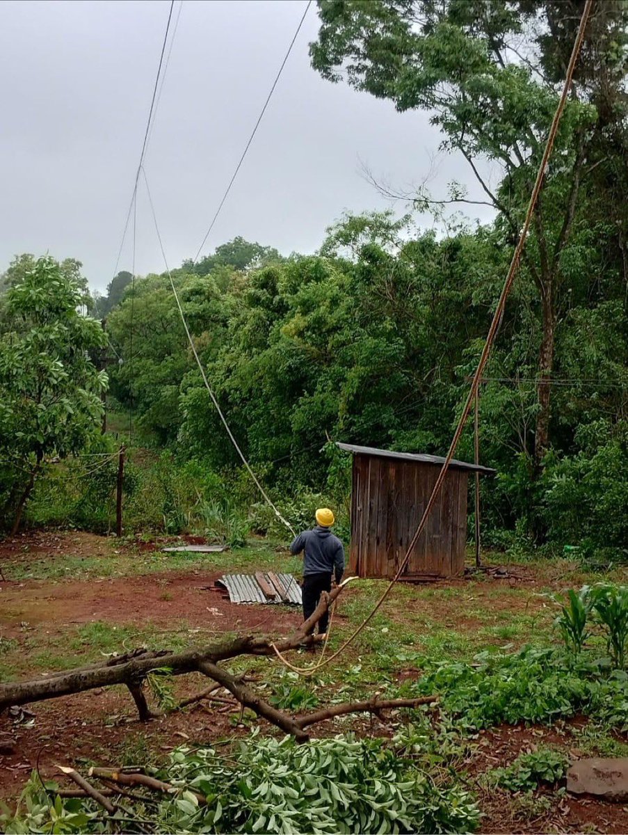 vjkreimer's tweet photo. Gracias al compromiso y al rápido accionar de las cuadrillas de Energía de Misiones, el servicio eléctrico ya se encuentra normalizado en toda la provincia. 

👉 posted @virginia_kluka 

@EnergiaMisiones @gobmisiones @passalacquaok https://t.co/YbvRpngrKU