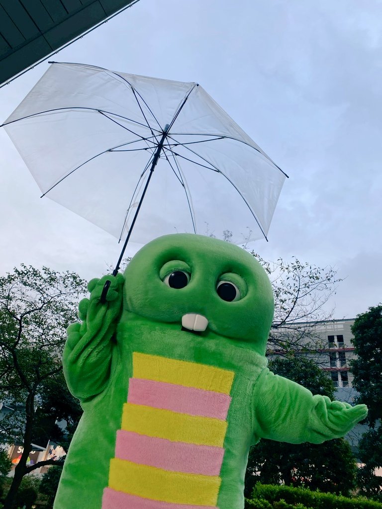 GachapinBlog's tweet image. 雨ふってるよ。
かさ、わすれないでねー！