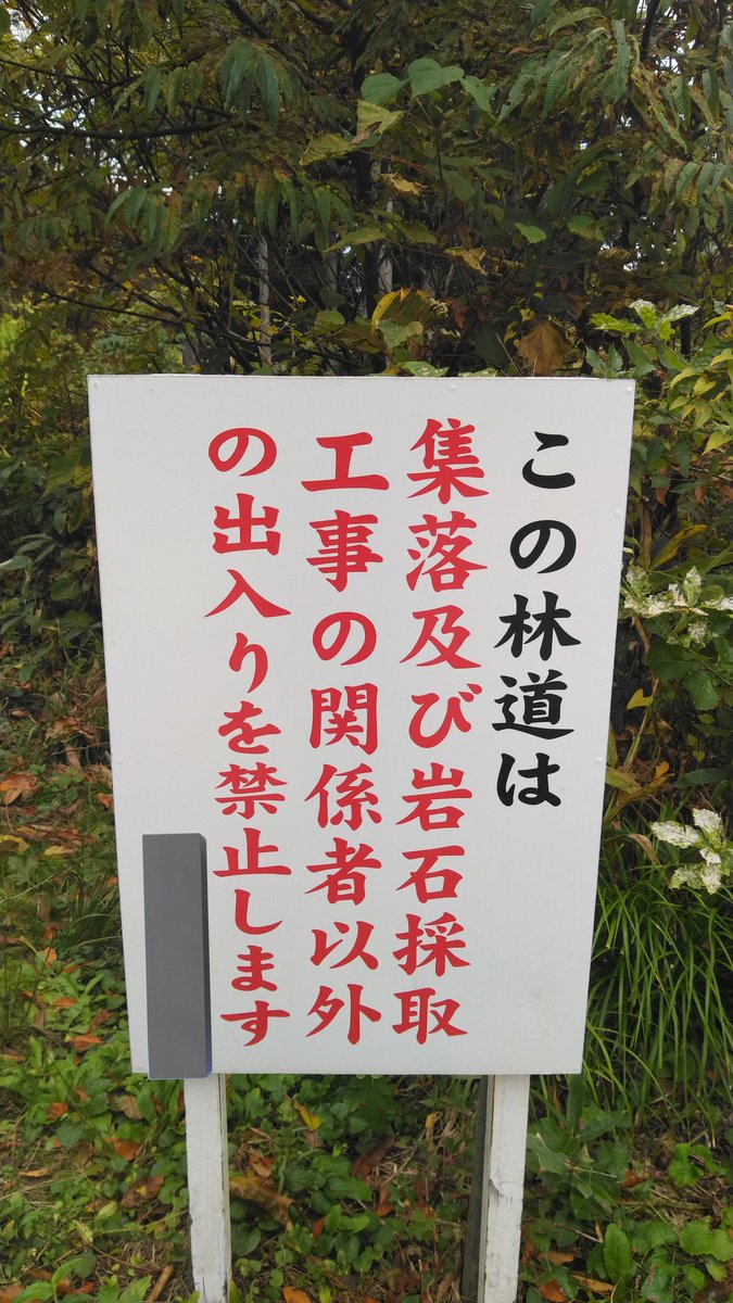 wata (@jXBoEkfoa2z1wZu) / Posts / X