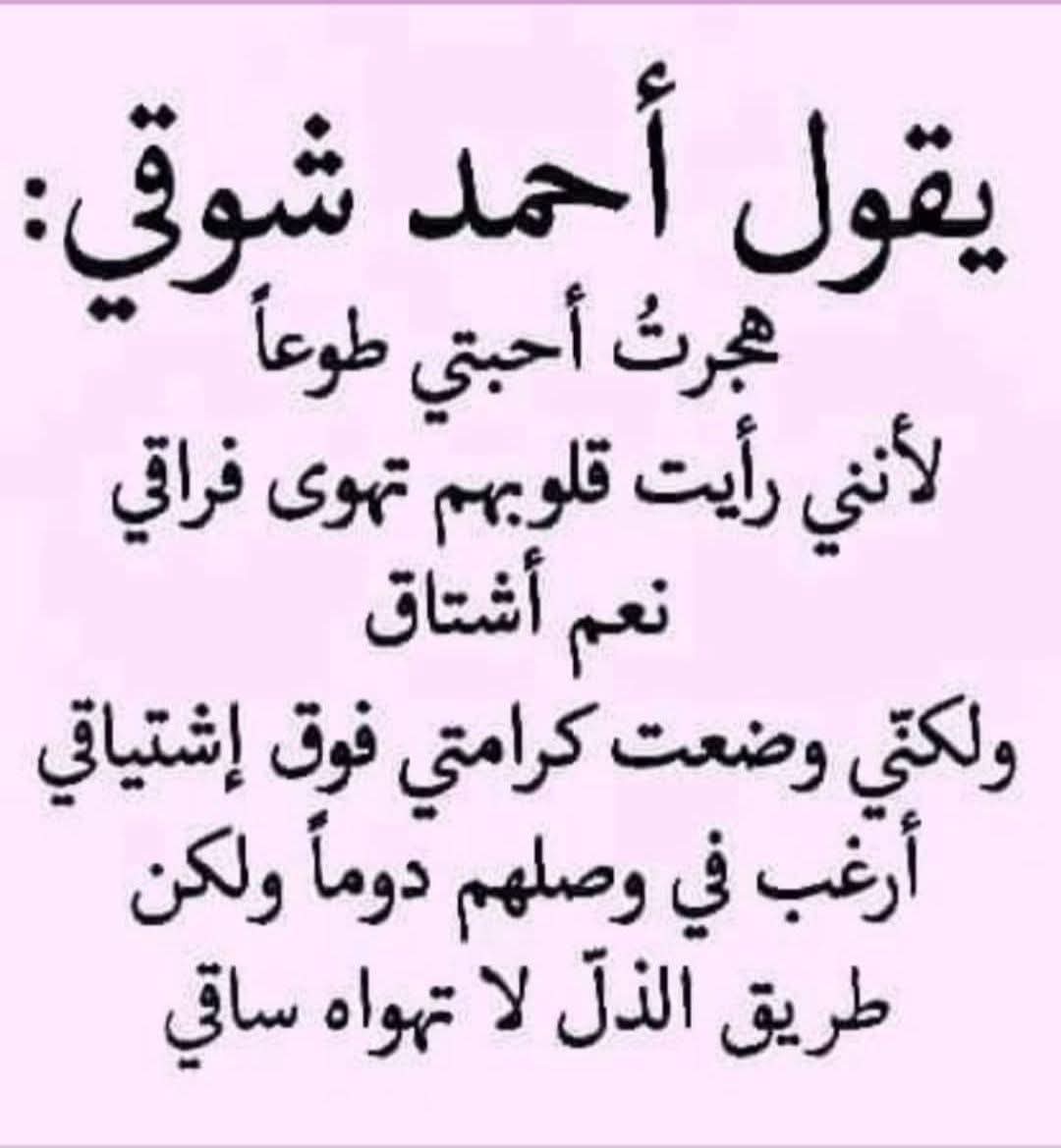 ليلي العربي tweet media