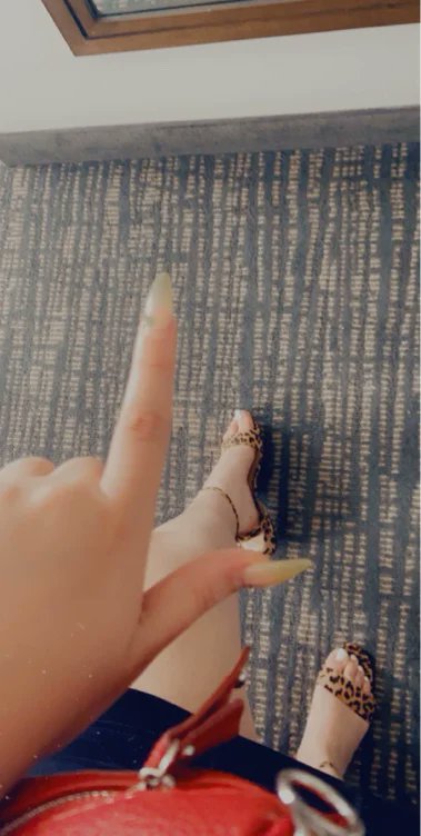 Lady Leopard 🐆👑♠️ tweet media