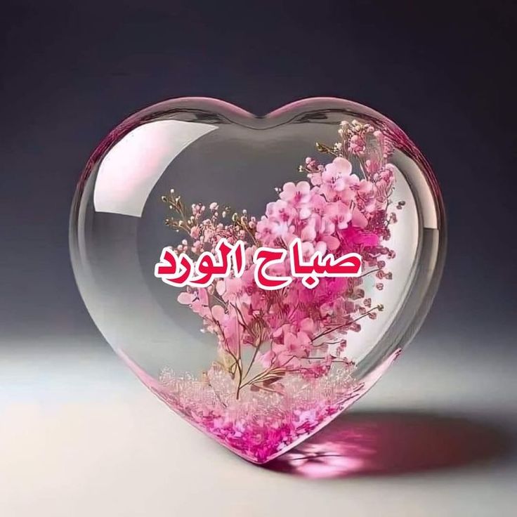 #صباحيات 
من غرس بقلبه حب الخير للناس
أزهرت له قلوب الناس محبة ووفاء ،
حفظ الله من حفظ الود وصان العهد،
فالصحبة من أعظم النعم ،
اللهم لاتحرمنا صحبة الصالحين ورفقة الخيّرين.🌹
#أميرھ_بِـ_أخلاقي