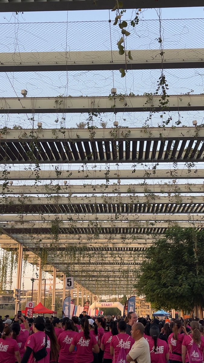 MsAsmaa_M's tweet photo. Something different to start Sunday morning 👟 https://t.co/zby9HxzJyi