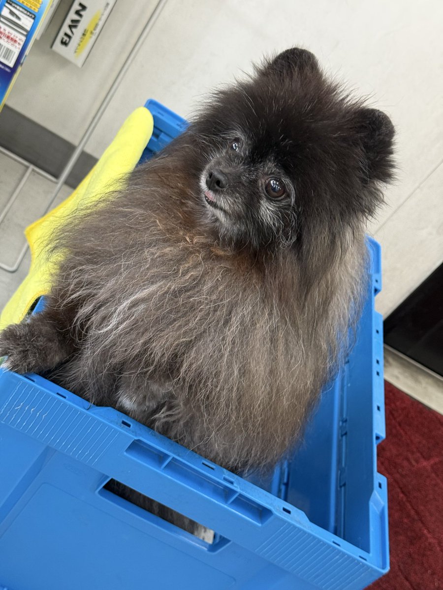 ねねここ3🍒 on X