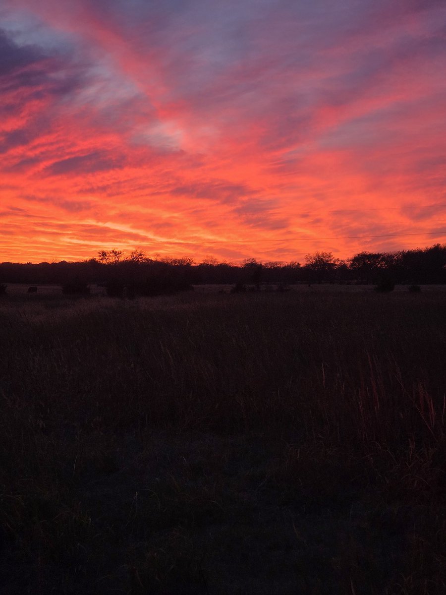 DanielEEdmonds's tweet image. 