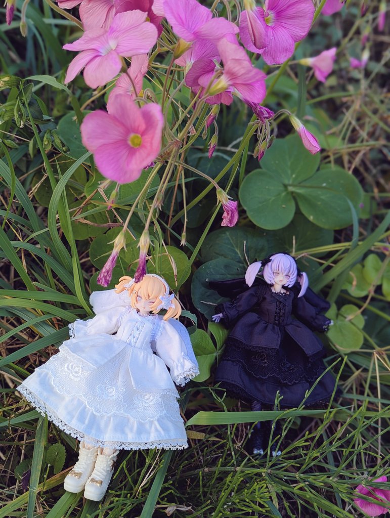 M❁﻿❁﻿❁﻿❁﻿様ご確認ページ poppo715 on X