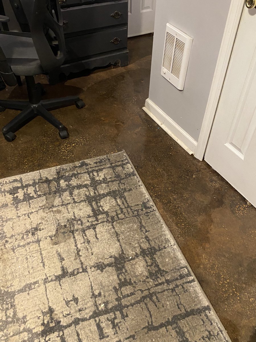 RealNerdyKai's tweet image. Our worse nightmare came true, house has been flooded. The kitchen, living room, bathroom, and half of the studio is soaking wet. Bedroom was spared thankfully and Vinny is okay. We need to move out of this place soon or it could be worse in the future😞