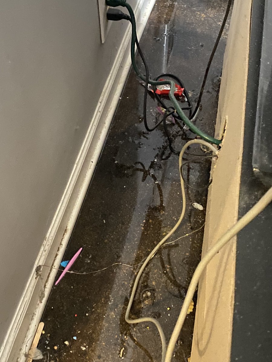 RealNerdyKai's tweet image. Our worse nightmare came true, house has been flooded. The kitchen, living room, bathroom, and half of the studio is soaking wet. Bedroom was spared thankfully and Vinny is okay. We need to move out of this place soon or it could be worse in the future😞