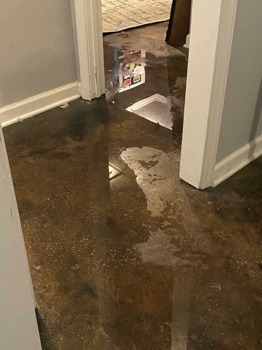 RealNerdyKai's tweet image. Our worse nightmare came true, house has been flooded. The kitchen, living room, bathroom, and half of the studio is soaking wet. Bedroom was spared thankfully and Vinny is okay. We need to move out of this place soon or it could be worse in the future😞