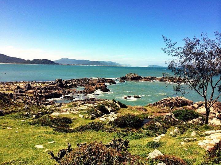 F.Ortega B.Mex. tweet media