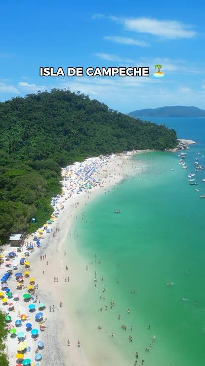 F.Ortega B.Mex. tweet media