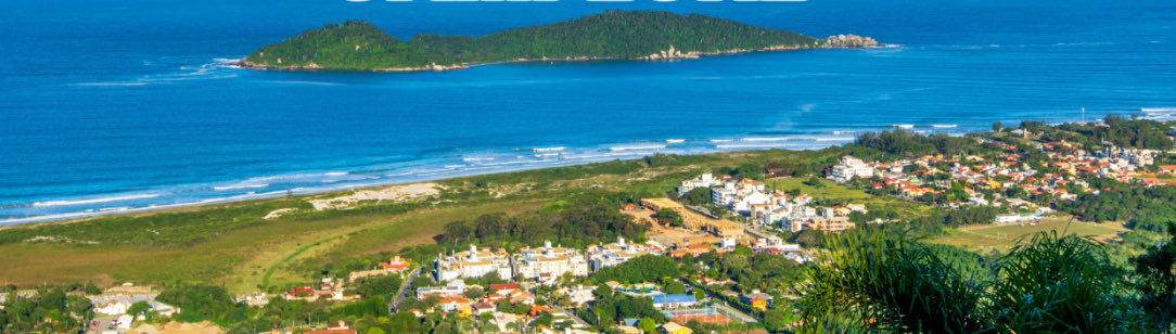 F.Ortega B.Mex. tweet media