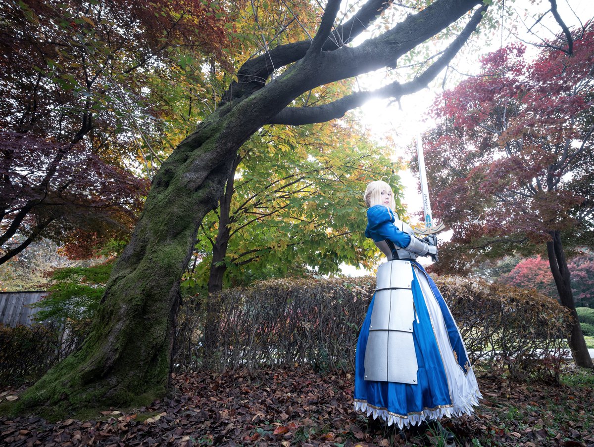 hamuba_cos's tweet photo. ใใณในใใฌใ
Fate/Grand Order
ใขใซใใชใข ใใณใใฉใดใณ
๐ธ: (@DrBachie)
2025. 11. 08.
#์ฝ์คํผ์ค https://t.co/0uziXIeZoD