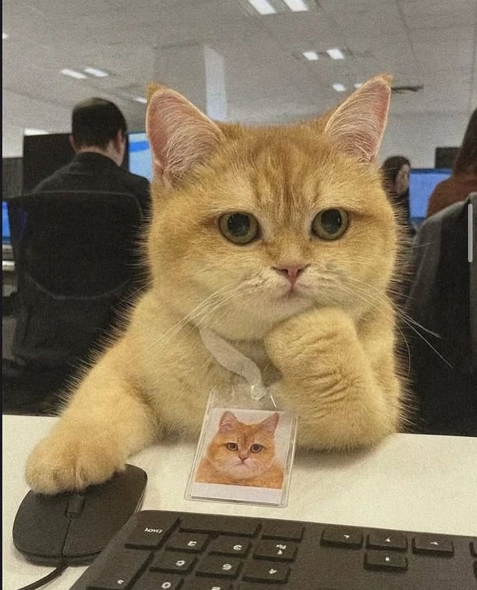 damn i kinda want an evo 8/9