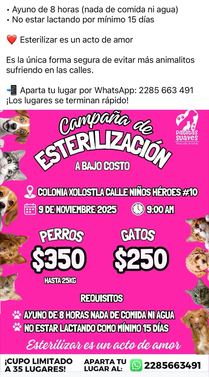 #Xalapa #SanAndrésTlalnelhuayocan #esteriliza🐱🐶
<a href="/mayteponm/">Mayte P.</a> <a href="/mageba04/">Gina alarcon</a> <a href="/Corintiacruz/">Corintia Cruz Oregón</a> <a href="/VialidadXalapa/">Vialidad Xalapa 🚦 VX 🌎</a> <a href="/AbelMucino/">Abel Muciño</a> <a href="/tierraverde1943/">ℓια ₊˚.༄ *ﾟ🌱</a> <a href="/pilykuera/">Pily Peregrina</a> <a href="/CECILLIA36/">CECILIA MENDEZ</a> <a href="/sara_juarez/">saraliz</a> <a href="/Ydlan/">Naldy Patricia</a> <a href="/fherciencias/">Soy Fher!</a> <a href="/camellinlove/">Porque soy xalapeño</a> <a href="/ArrezEdda/">Edda Arrez</a> <a href="/PopColorsXal/">PopCX</a> <a href="/RoxanaAAT/">Feto de PicaFresa🍓</a> <a href="/penelopemoncayo/">Penélope Moncayo.</a> <a href="/Zapatito_Azul/">Yuria Eldia Reyes</a> <a href="/rociosaiz/">Rocio Saiz</a>