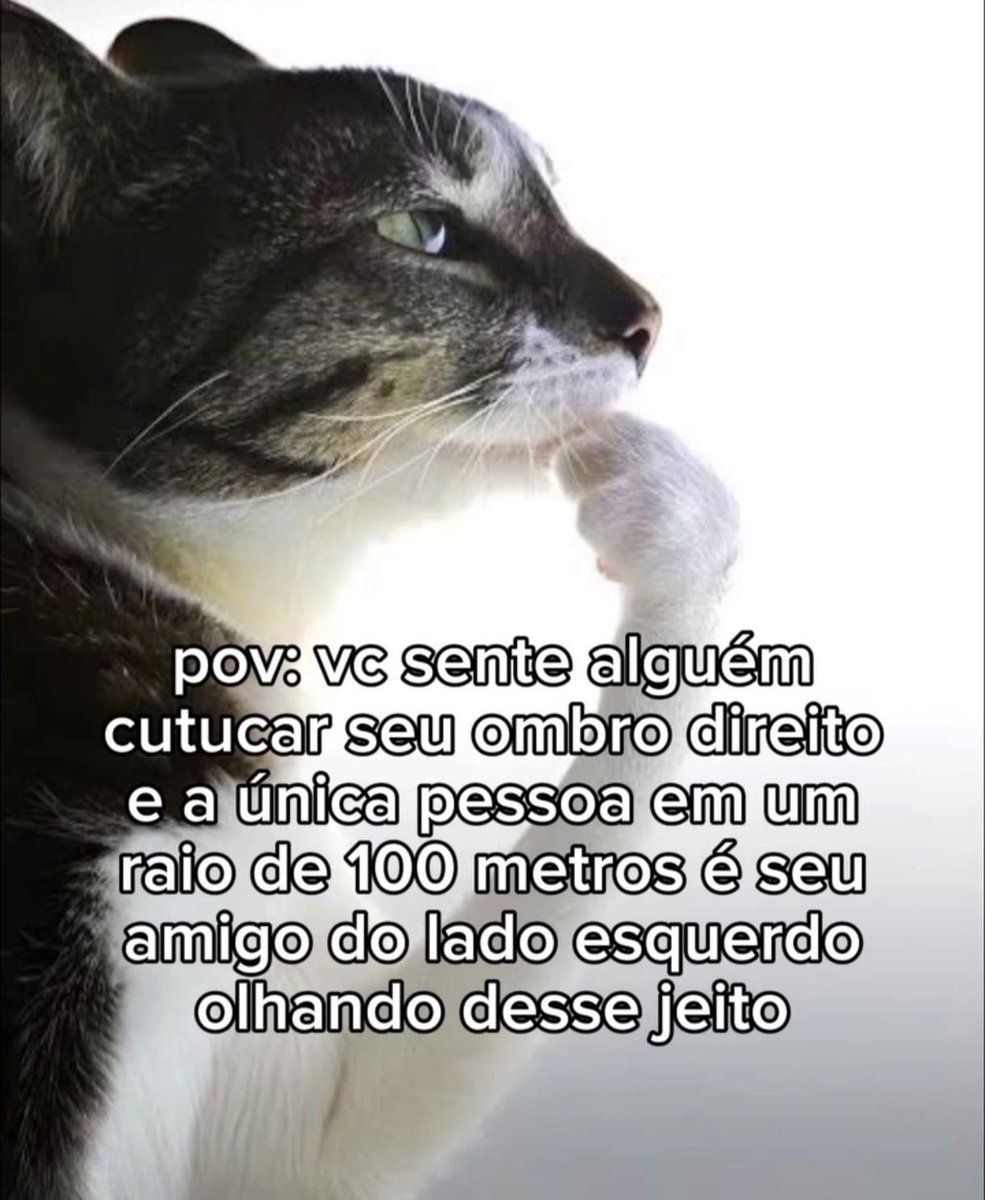 shitpostverdade's tweet photo. https://t.co/VNYNhWx0CR