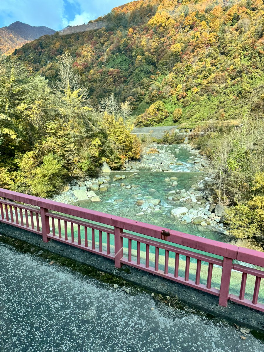 waffles5ever's tweet photo. How do I get over you, Japan? (2025 version) 🥲 https://t.co/v2PMb8u9FQ