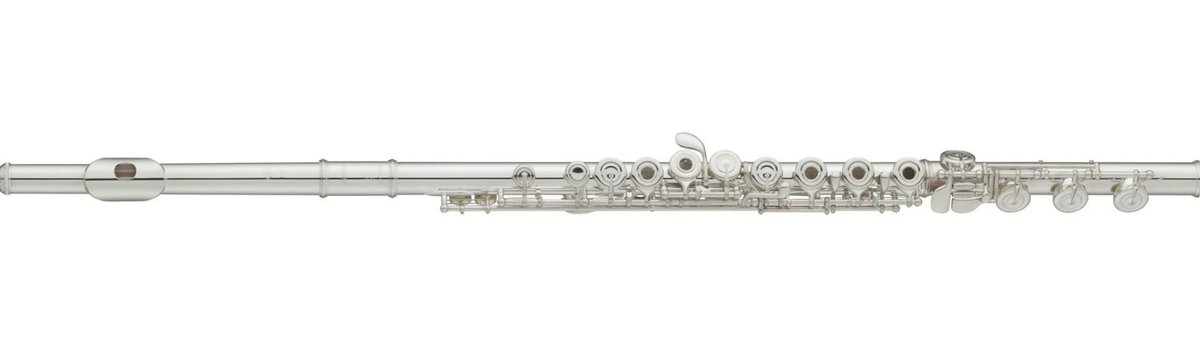 An item on my Throne wishlist just got fully funded: Used Flute. Thank you! throne.com/velocitish #Wishlist #Throne
