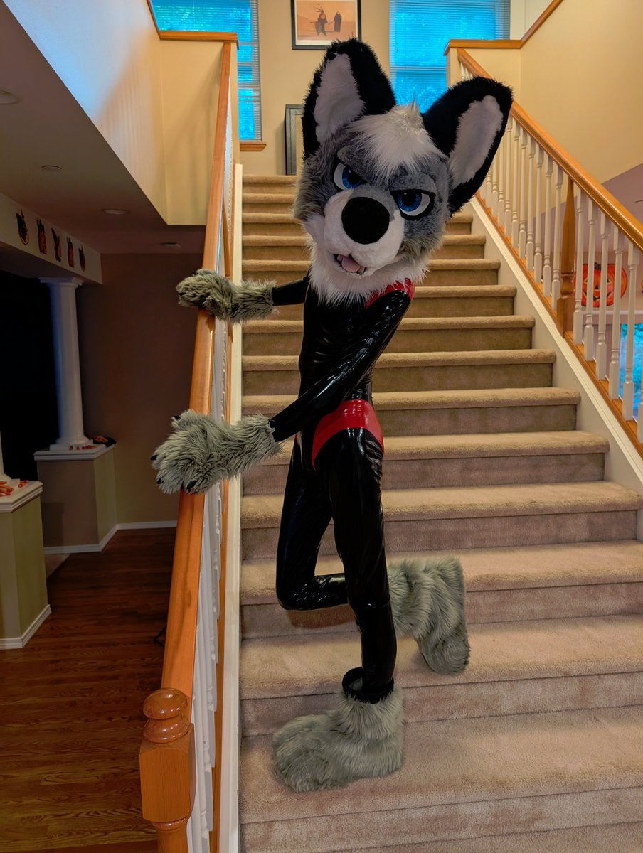 Silver Sentinel tweet media