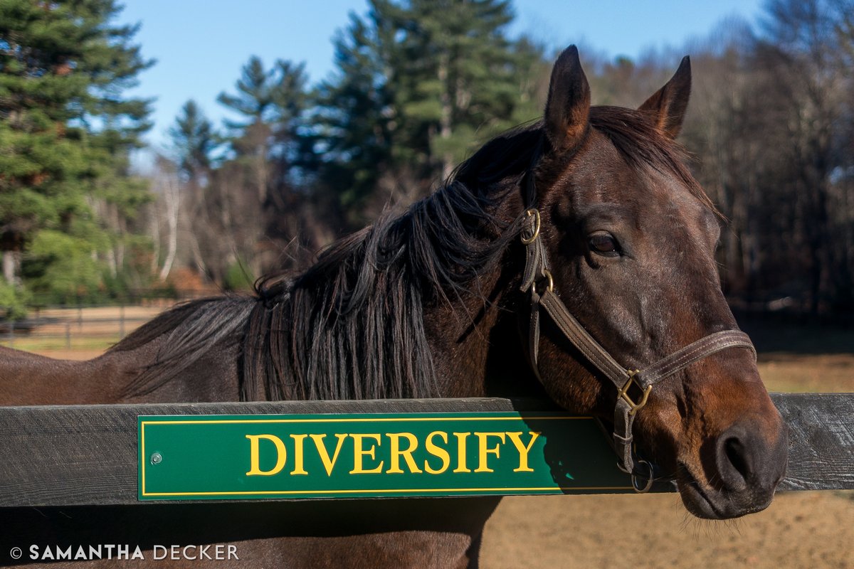 Scenes from <a href="/OldFriendsCC/">Old Friends at Cabin Creek</a> today! ❤️