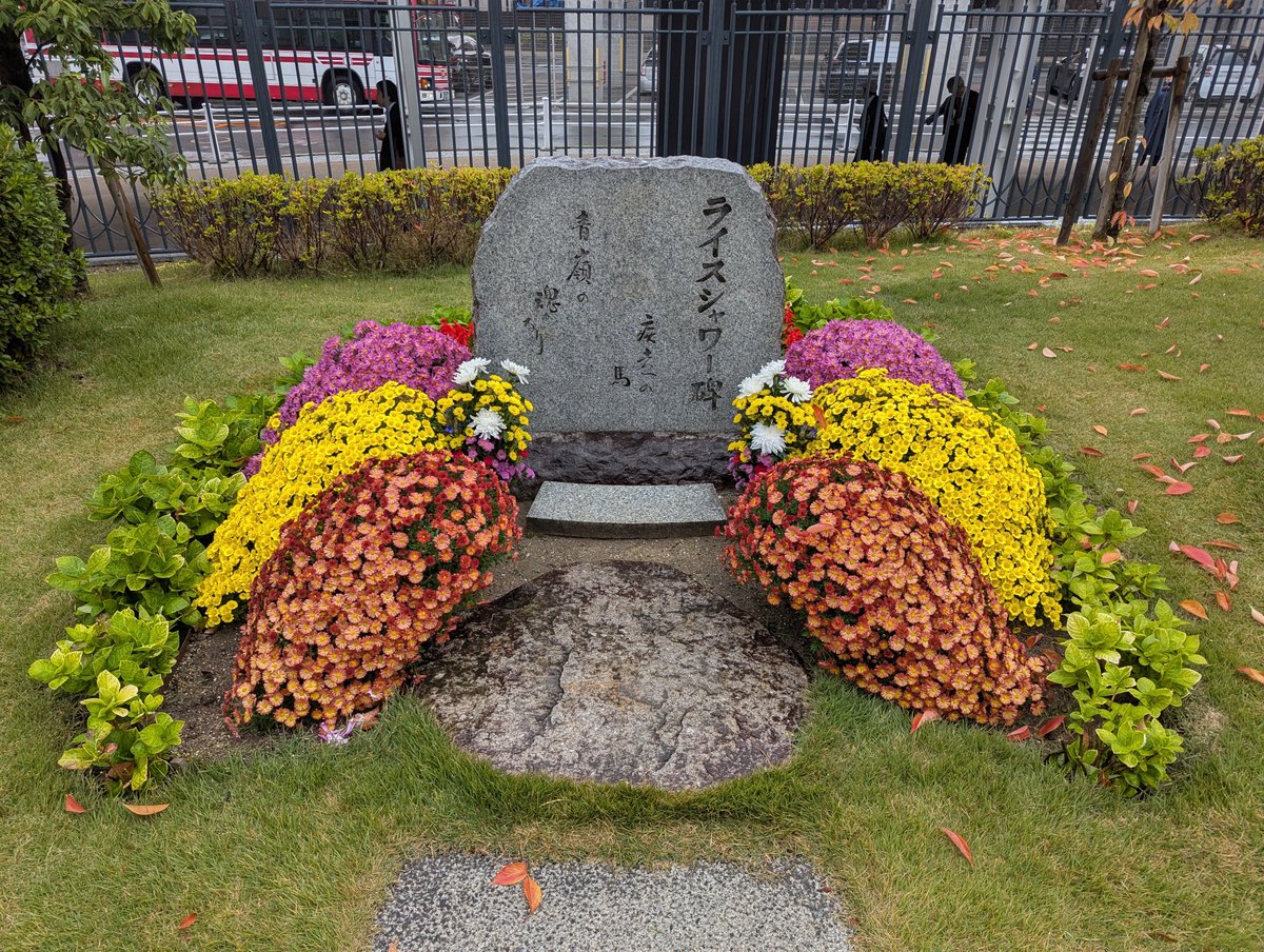 寒立馬（かんだちめ） on X