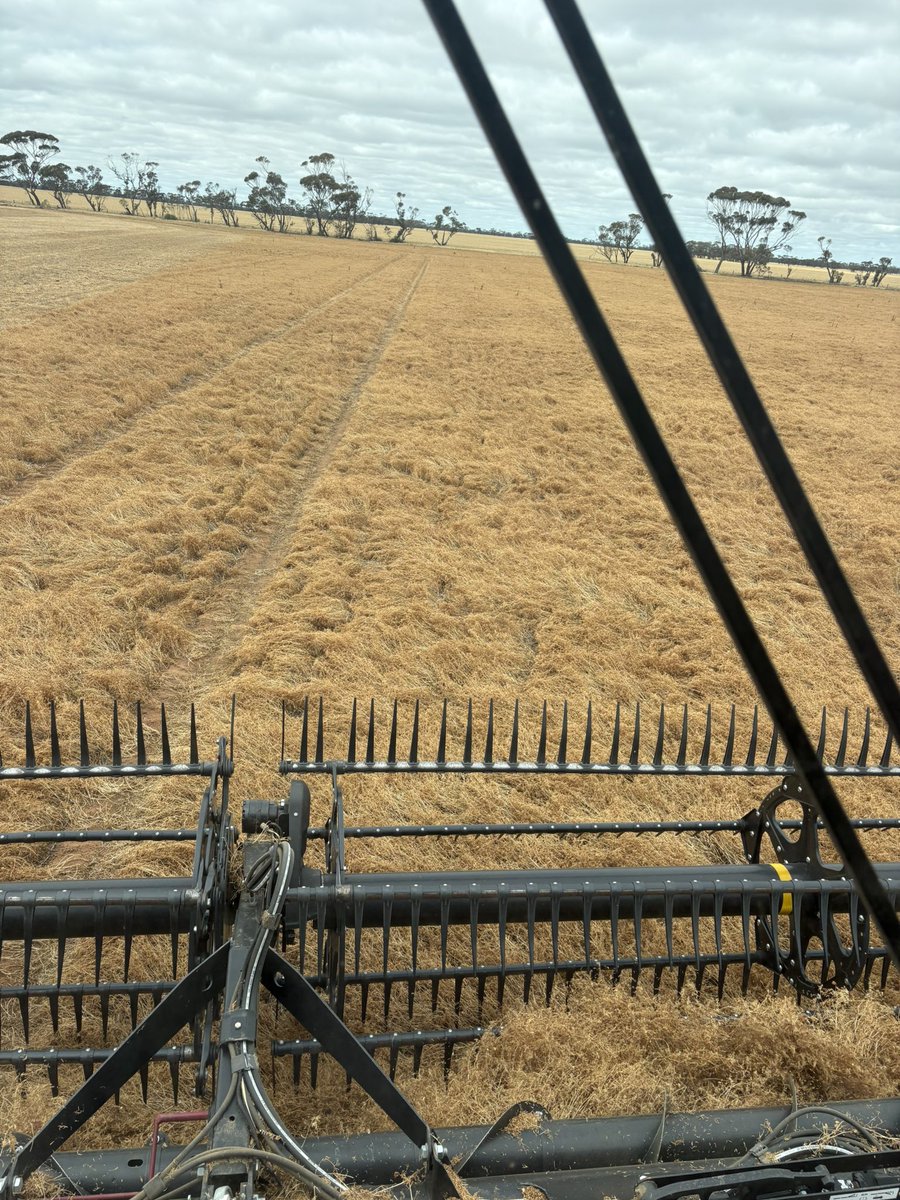 Matt Witney tweet media