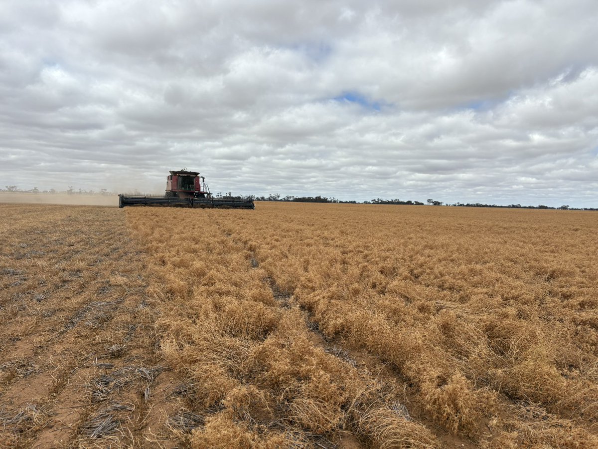 Matt Witney tweet media