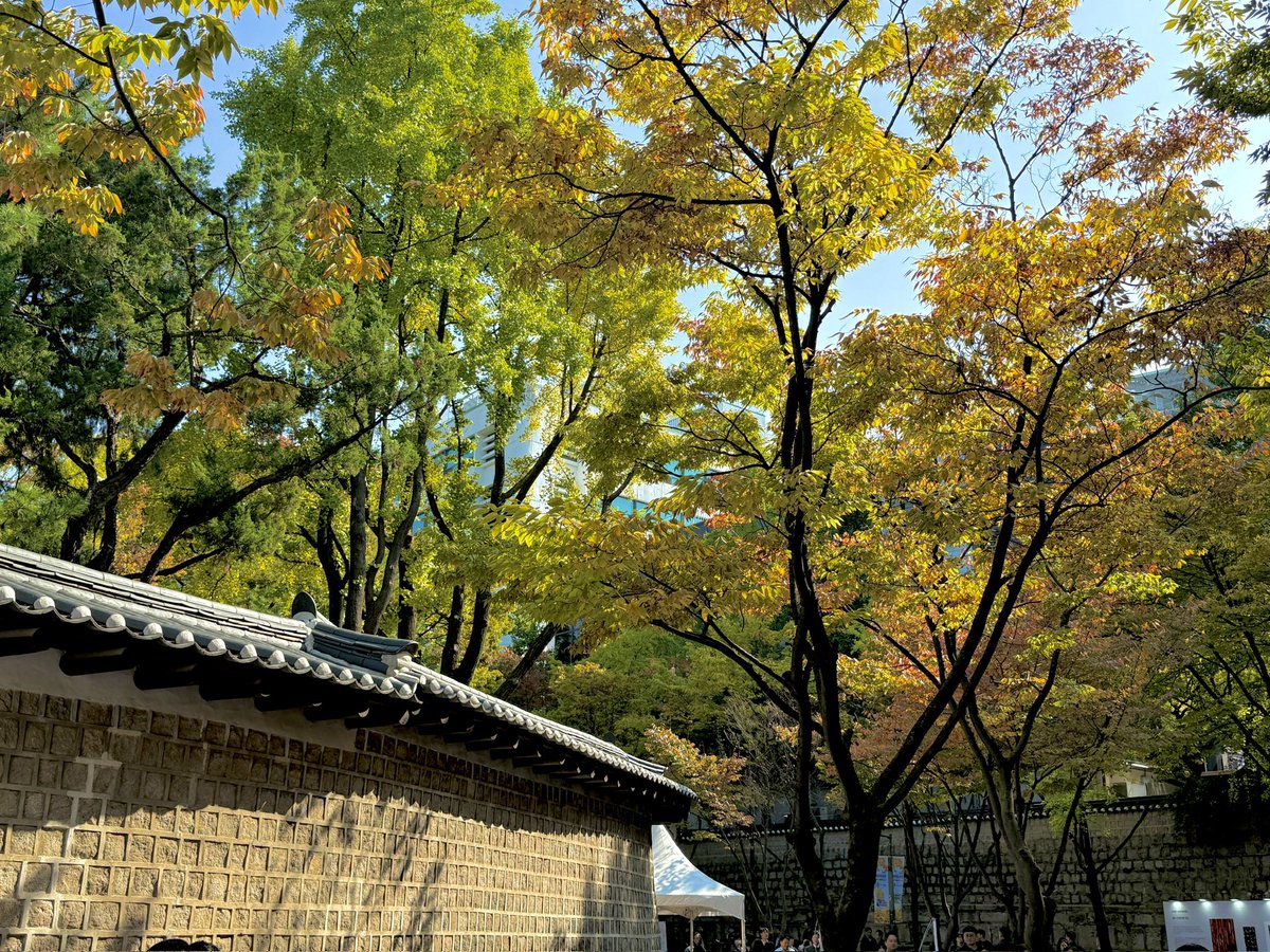 아니 근데 정말 
가을에 덕수궁부터 해서 광화문까지 쭉 걸으면 
선조들이 왜 여기를 수도로 잡고.. 여기에 궁을 지었고… 부연설명 필요없이 바로 이해가능임
