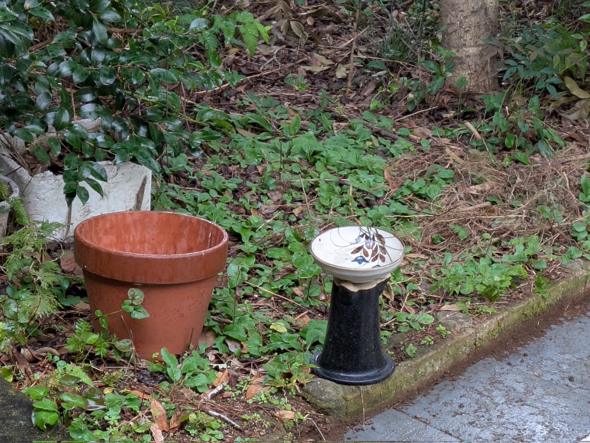 メジロ レジンヘアゴム 野鳥 メジロ雑貨なら - 文鳥ロードショー 全部