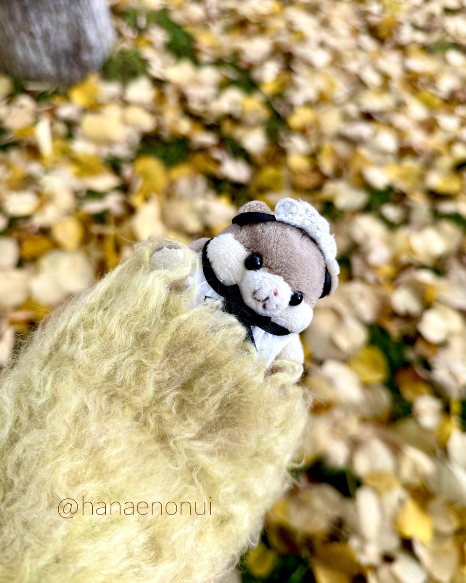 はむちゃん ハムちゃん＋Project on X