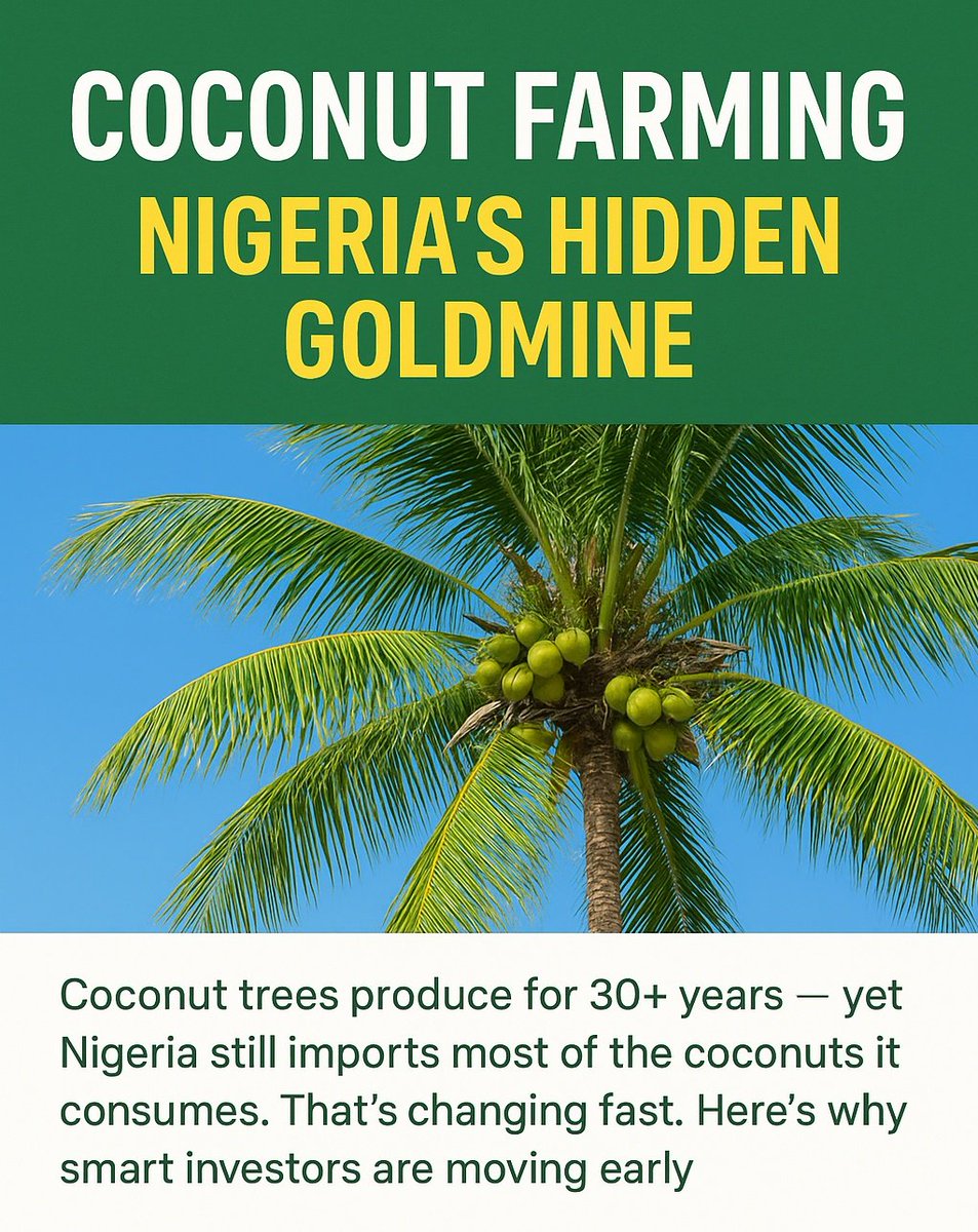 FruitTreesNg's tweet photo. Coconut Farming: Nigeria’s Next Big Agribusiness Opportunity

Coconut isn’t just a fruit - it’s a wealth tree that keeps producing for 30+ years.

Yet, Nigeria still imports most of the coconuts it consumes.
Here’s why that’s changing - and how you can be part of it 🧵👇