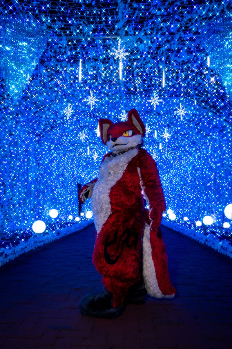 ……良いな
 #Kemocon18