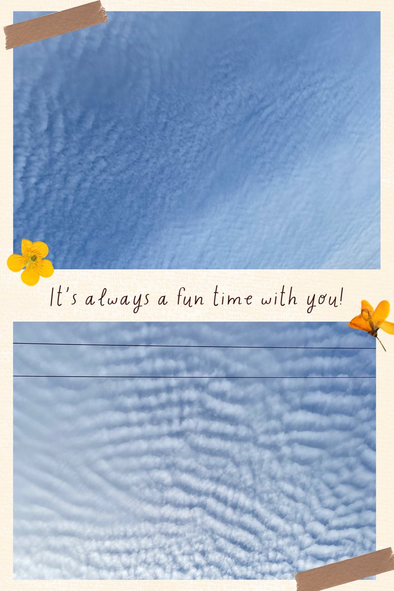 ようこっち😸🐷😊 on X