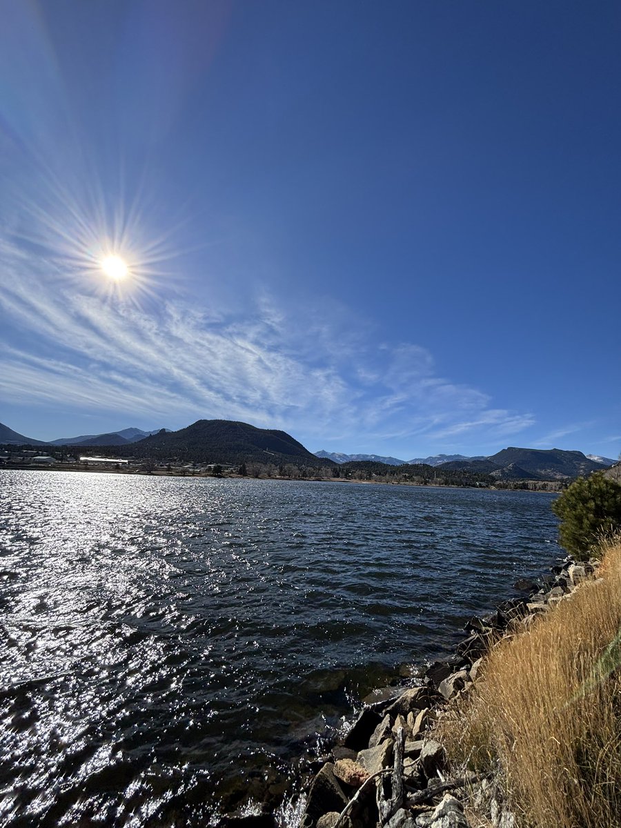 Denver Reggae (@denverreggae) on Twitter photo 