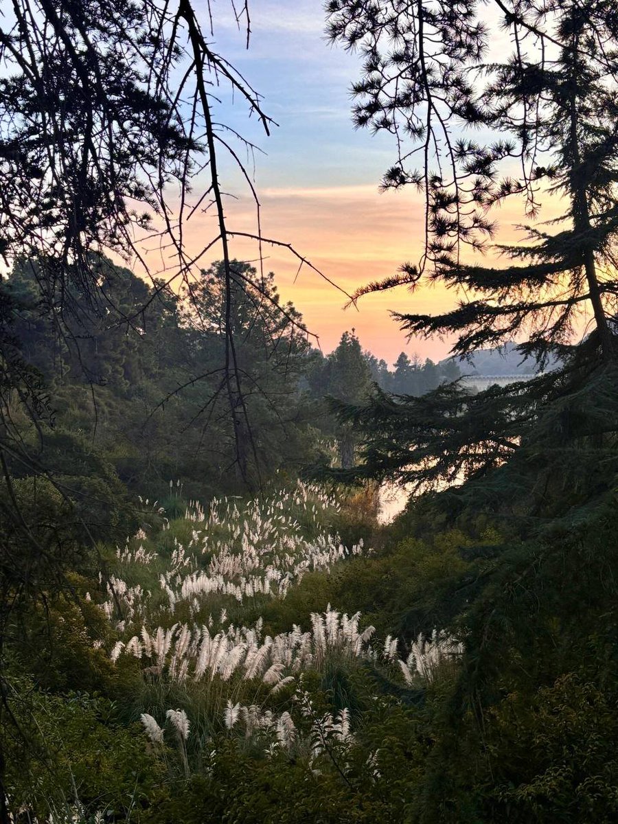Violet1nv's tweet photo. #travel #photos #sharing #dailylife #hiking https://t.co/3O0kQyjEoK