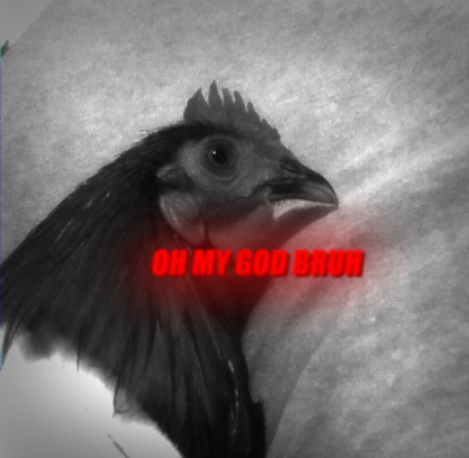 My reaction when unity crashes, rolling back hours of fine tuning and work as soon as I finish adding "the goodies" to the VR shark project.