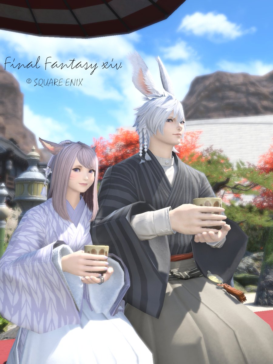 おはよです🐈‍⬛ ͗
秋のゼロムス並木道、とても綺麗だった～🍁
 和装と緑茶エモが合いますね🎶
 #FF14  #FF14SS  #ミコッテ #ゼロムス並木道