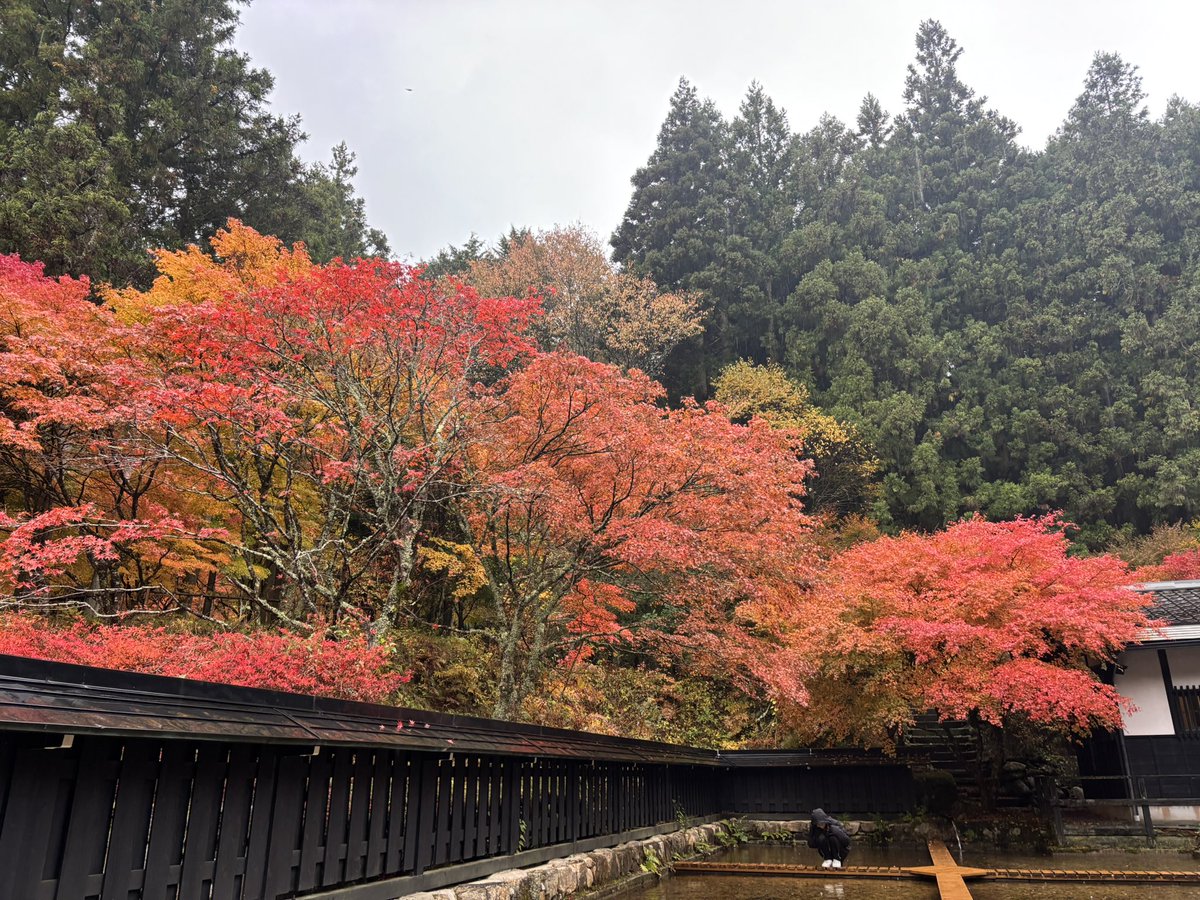 キム兄 (@bx63vh) / Posts / X