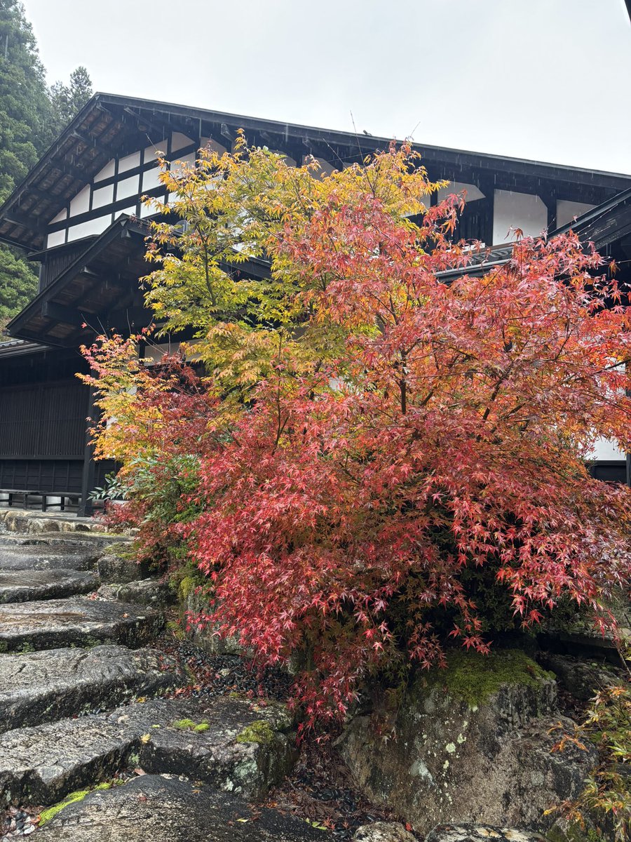 キム兄 (@bx63vh) / Posts / X