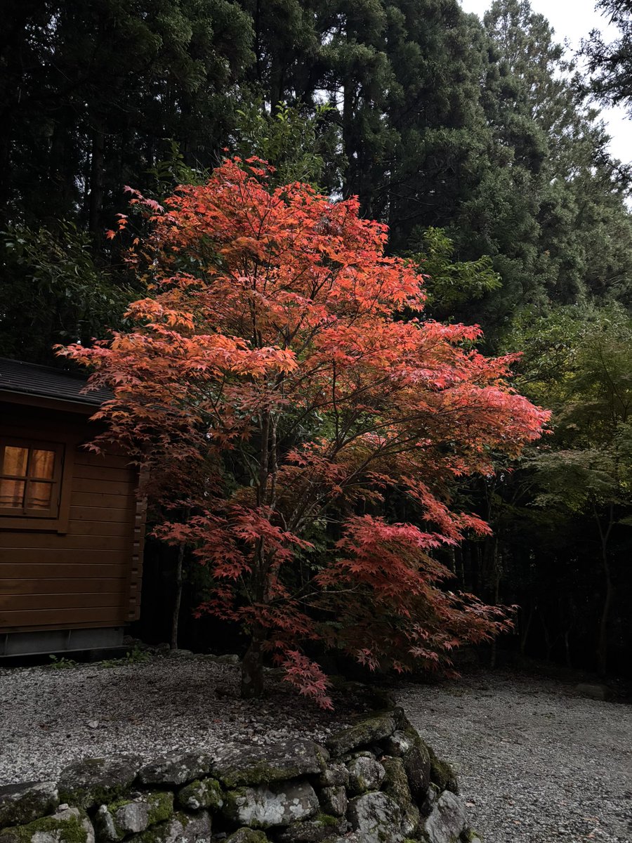 キム兄 (@bx63vh) / Posts / X