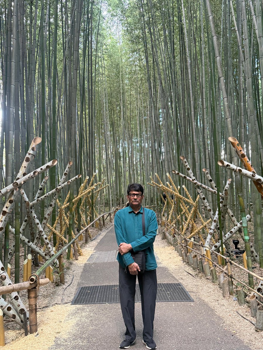 We are comfortable with our heights, where Destinity has put. us.. Good Morning.. 🙏👍