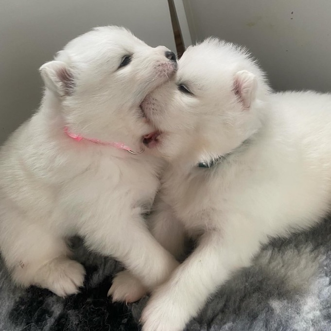 3-0 <a href="/TrickstersGG_MR/">TrickstersGG Marvel Rivals🃏🎭</a> ggs