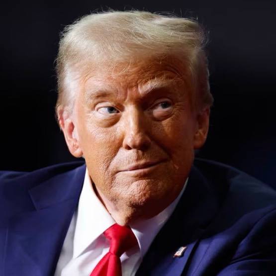 WOLF x VISION tweet media