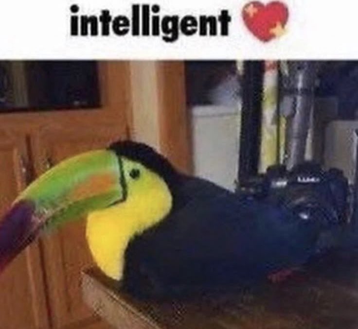 Man, I should really start streaming again and being a silly little goober on the Interwebs or something along those lines