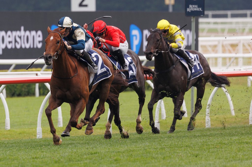 Racing Previews tweet media