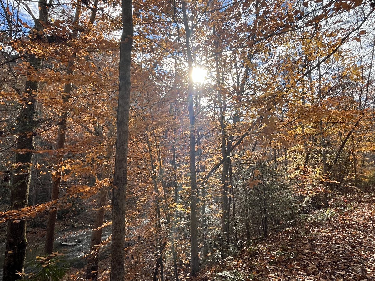 Bill Hartley tweet media